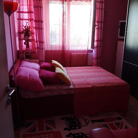 Pinky Life Family Only *